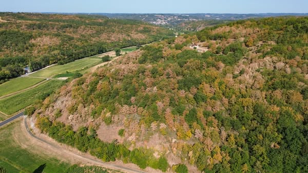 Dr. Serge Zaka (Dr. Zarge) tweet media