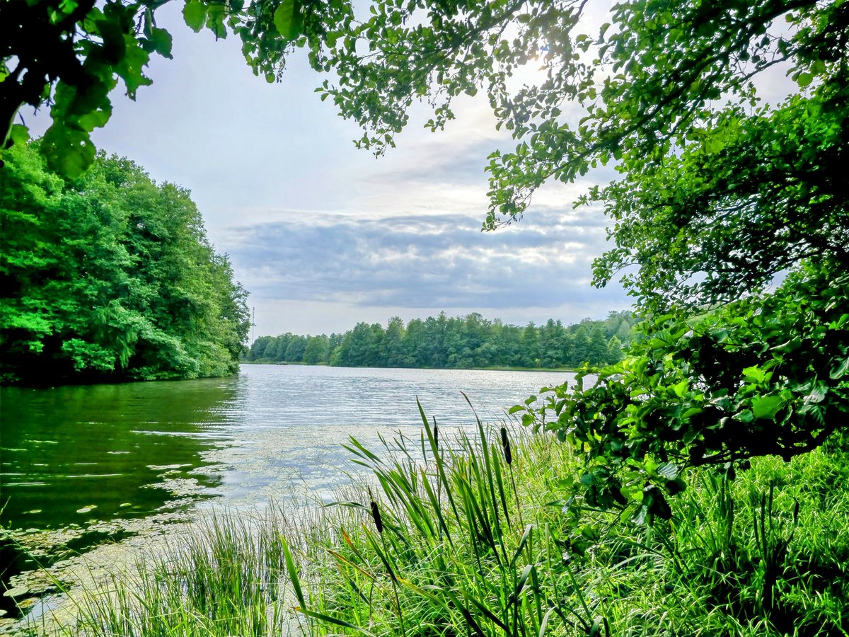 Juha Auvinen (@zehov) on Twitter photo 