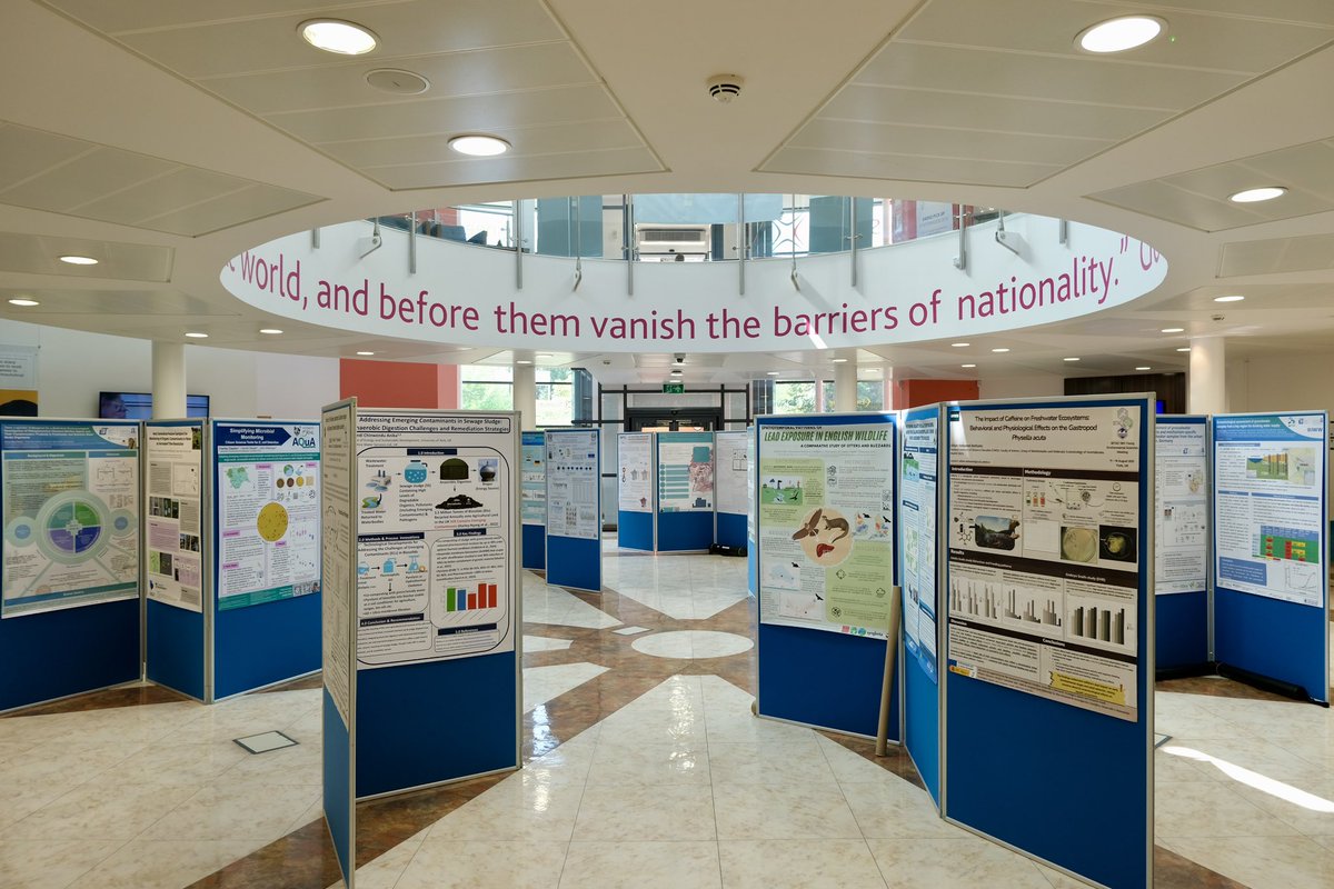 Nahum Ashfield tweet media