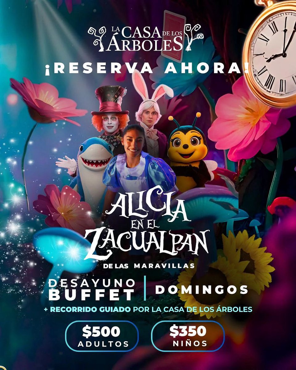 🌳✨ Zacualpan de Amilpas te espera con un plan único: show inmersivo de Alicia y sus amigos, desayuno buffet y recorrido por La Casa de los Árboles. 🎟 Domingos | 🔗 linktr.ee/CasaDeLosArbol…

#AliciaEnZacualpan 
#LaTierraQueNosUne  #LaPrimaveraDeMéxico