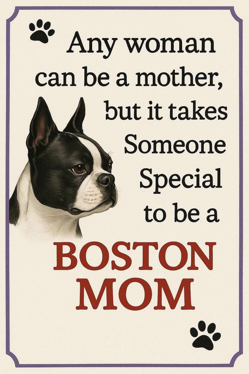 bterrierdogs's tweet photo. https://t.co/WacLmMKxbM
