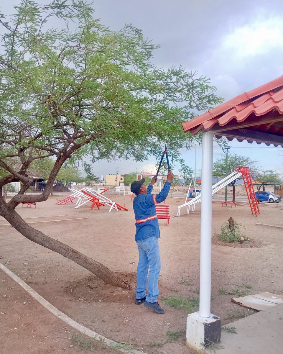 servpublicoshmo's tweet photo. Reforestación y rehabilitación del parque central de la colonia Urbi Villa Campestre. 🌳🛝

¡Juntas y juntos cuidemos nuestros espacios! 🚯

#HermosilloCRECELimpio https://t.co/xs6BxKjYe9