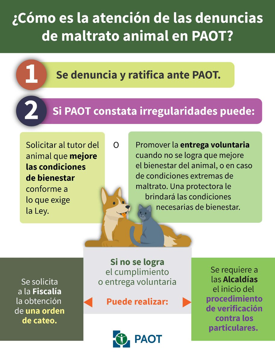 ¿Cómo es la atención de las denuncias de #MaltratoAnimal en PAOT? #PAOTCercaDeTi