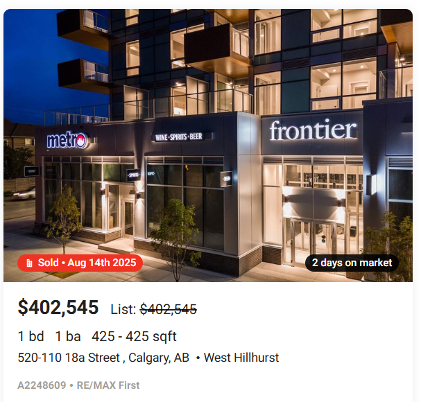 Ted Lightbulb tweet media