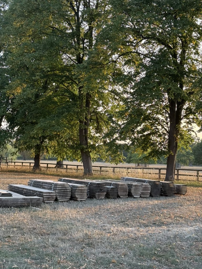 Satisfying 🌳 #lovewood