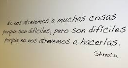DominusCAPP tweet picture