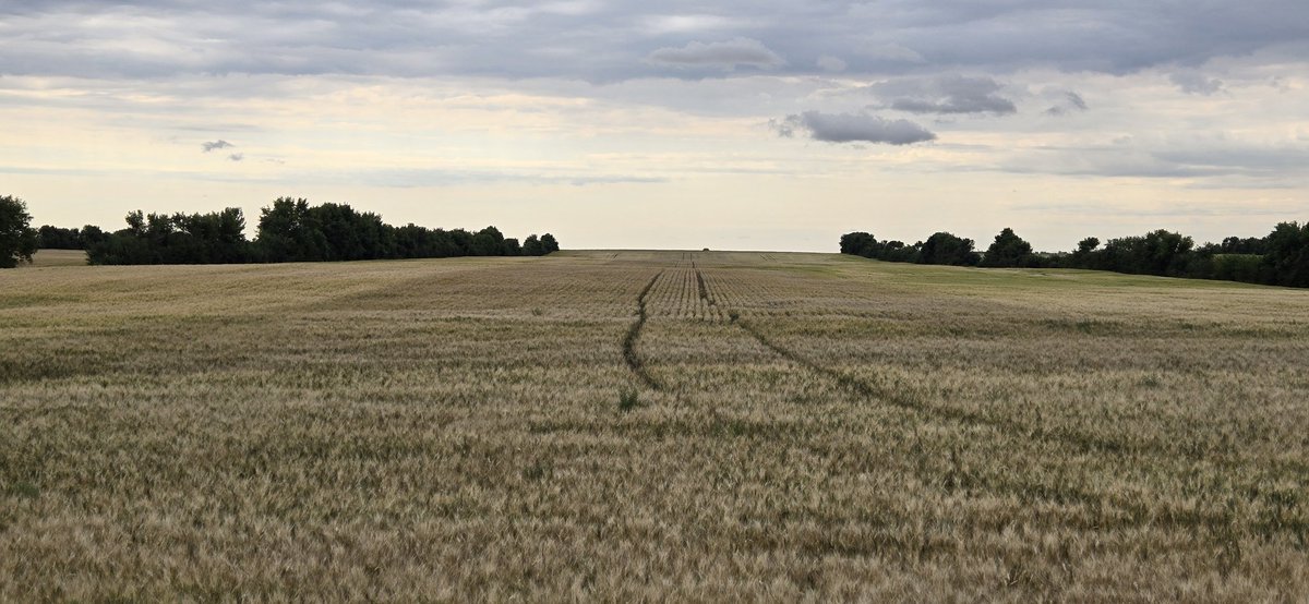 Rob Warkentin tweet media