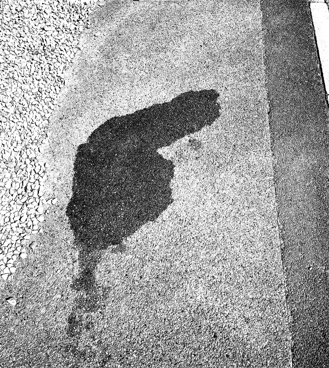 A Pavement oil spill Rorschach Test for the weekend..

What ( if anything ) do you see? 🤔
#Rorschach