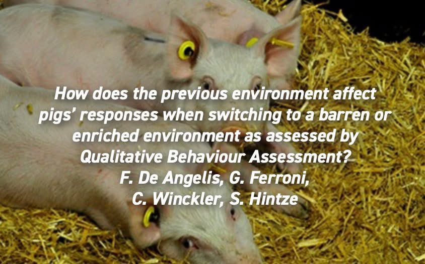 appliedethology's tweet photo. #NewResearchAlert
"How does the previous environment affect pigs’ responses when switching to a barren or enriched environment as assessed by Qualitative Behaviour Assessment?" by Angelis et al.
Get the full paper here: https://t.co/dgoOmKZL61
#enrichment #pigbehaviour #QBA https://t.co/TgiFPWkY87