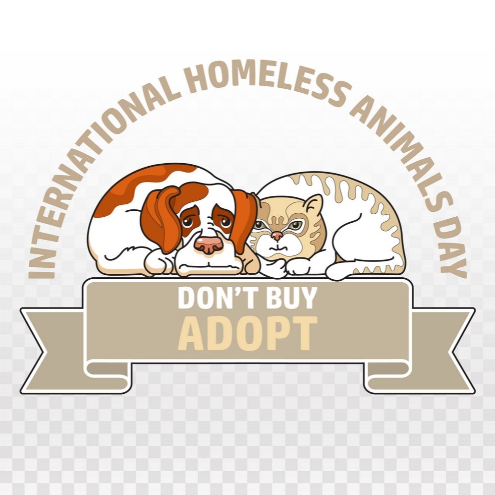 PRABHUS43057018's tweet photo. INTERNATIONAL HOMELESS ANIMALS DAY - THIRD SATURDAY IN AUGUST 2025 - சர்வதேச வீடற்ற விலங்குகள் தினம் - ஆகஸ்ட் மாதம் மூன்றாவது சனிக்கிழமை 2025. https://t.co/E8QTePLIXg