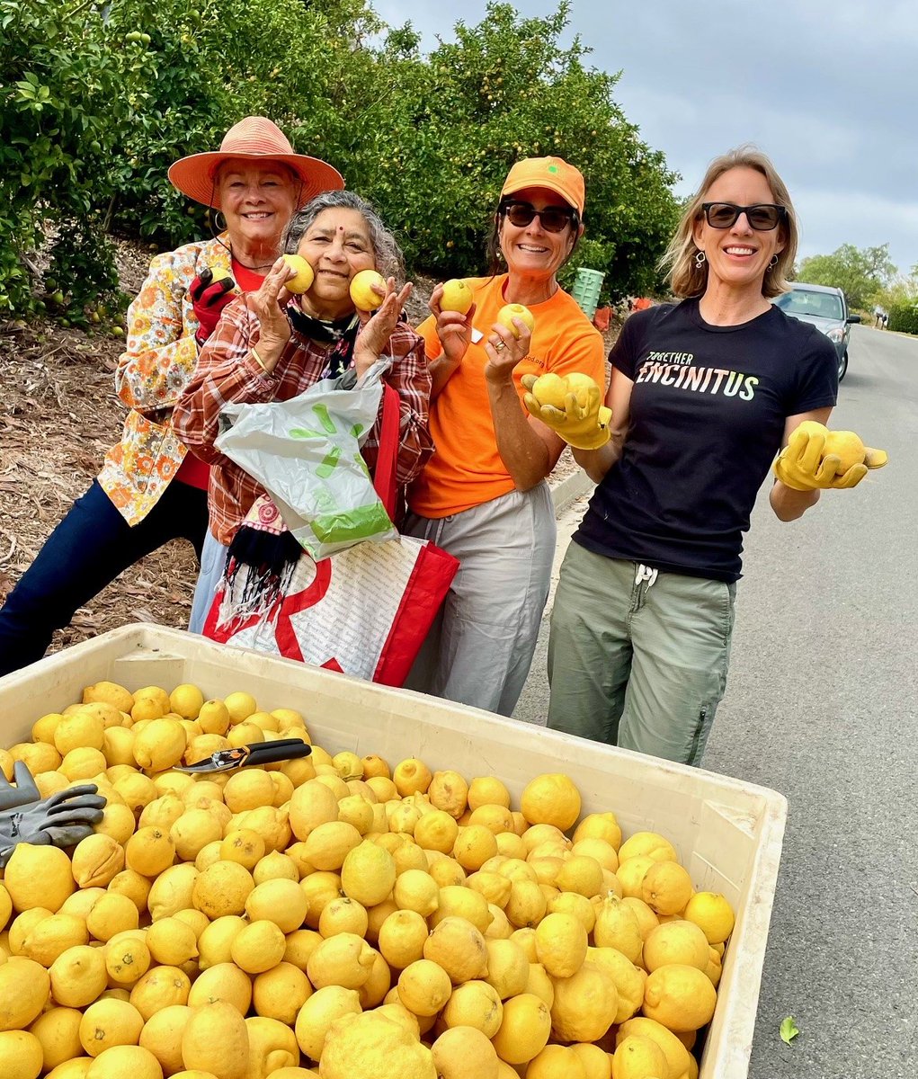 Senator Catherine Blakespear (@senblakespear) on Twitter photo Thank you to the 25 volunteers who joined me to glean 2,800 pounds of lemons in an orchard at a home in Encinitas this morning. The event was organized by <a href="/ProduceGood/">GleanQueen</a>. Today’s harvest went to Cape Cod Senior Village in Oceanside, Libby Lake Community Center in Oceanside and the Thank you to the 25 volunteers who joined me to glean 2,800 pounds of lemons in an orchard at a home in Encinitas this morning. The event was organized by <a href="/ProduceGood/">GleanQueen</a>. Today’s harvest went to Cape Cod Senior Village in Oceanside, Libby Lake Community Center in Oceanside and the