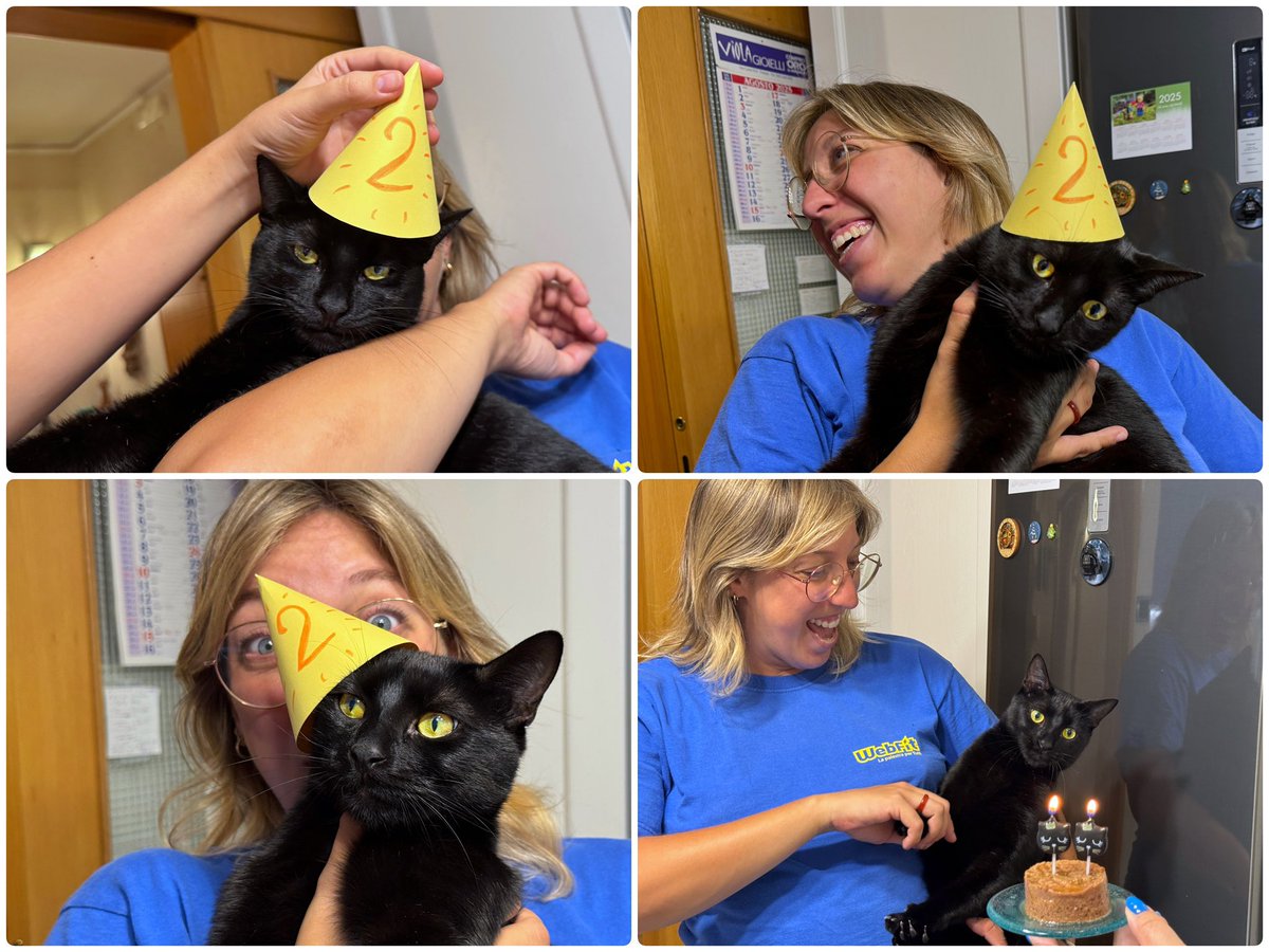 Buon compleanno Pepe🐾🎂🐈‍⬛❤️