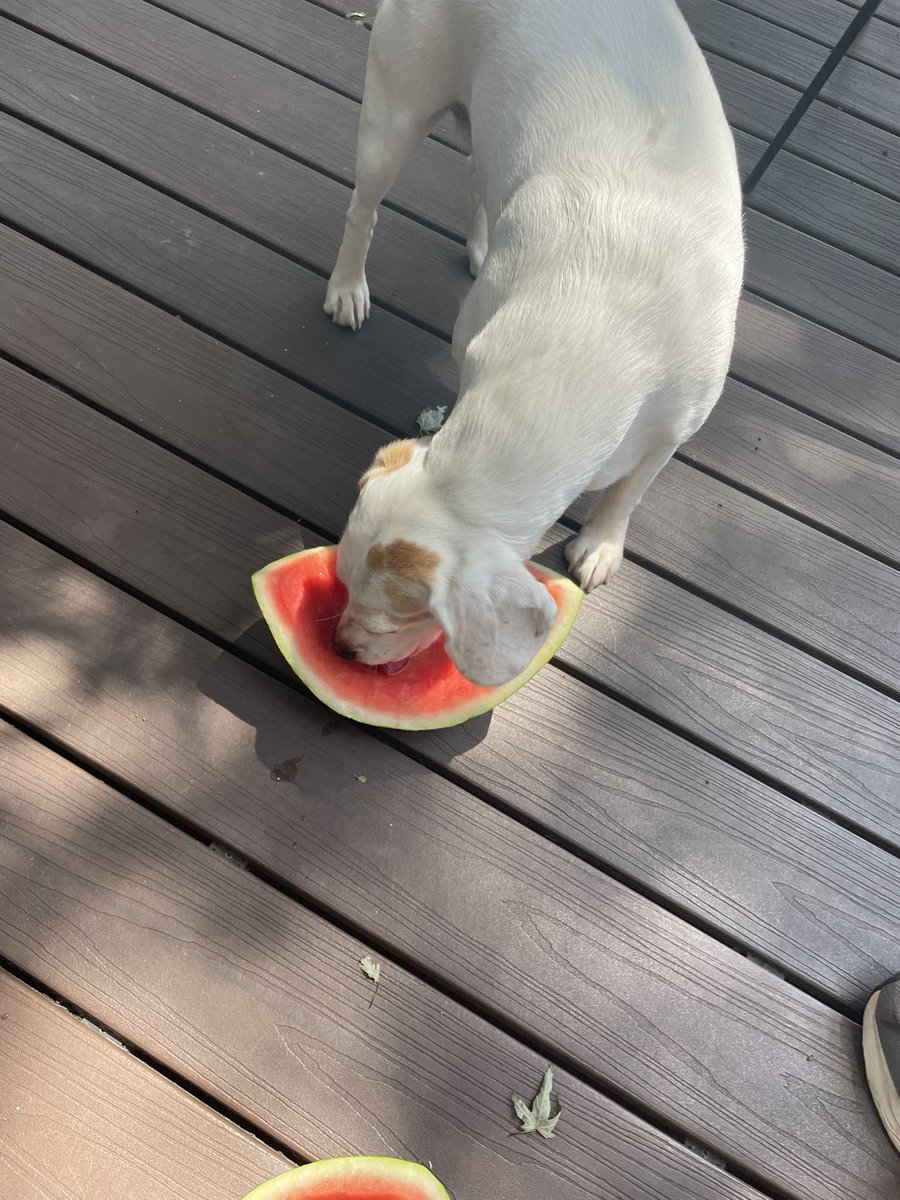 I’m getting my weekend started. Watermelon happy hour! 🍉🍉