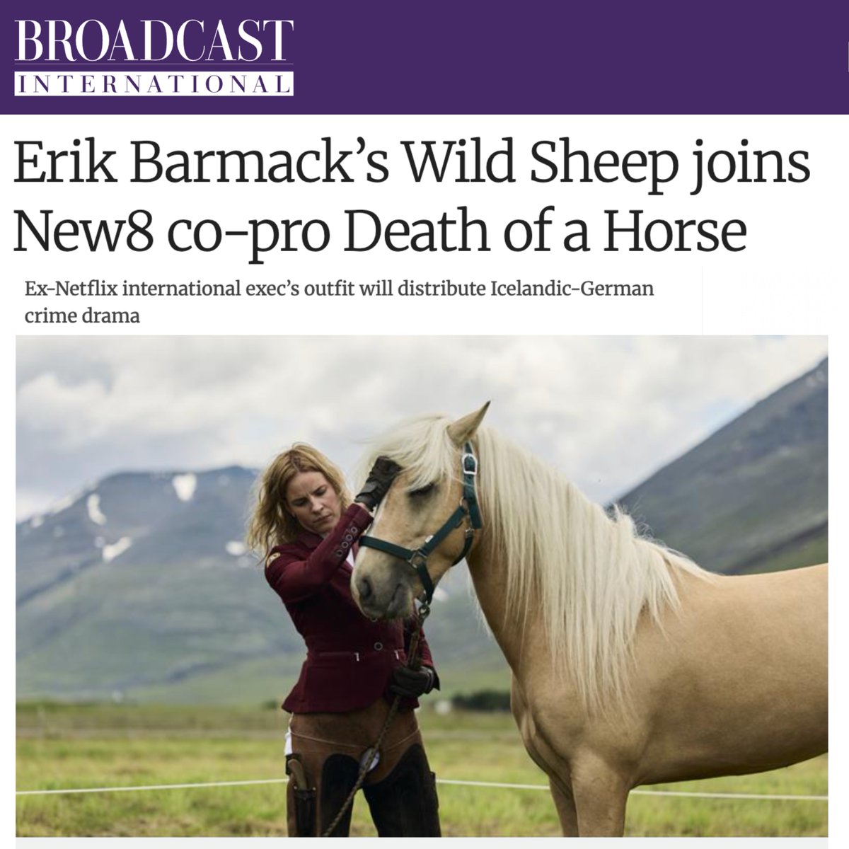 Wild Sheep Content tweet media