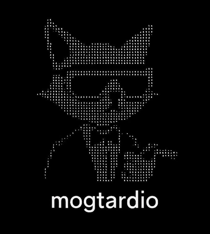 ApeBob 🦍 tweet media