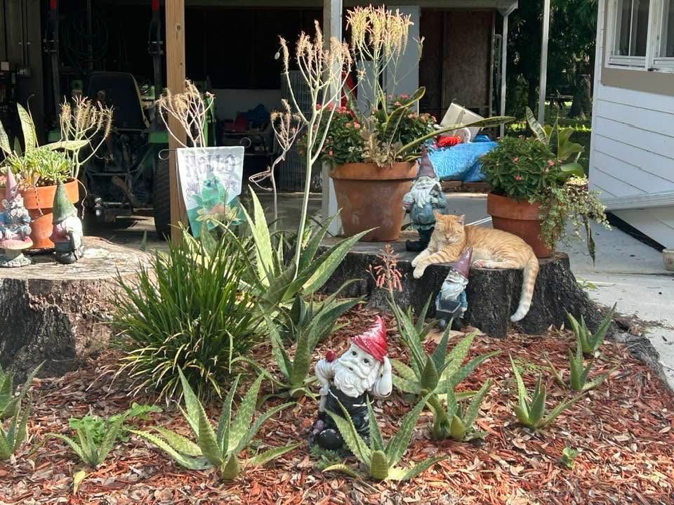 Freedom Ride tweet media