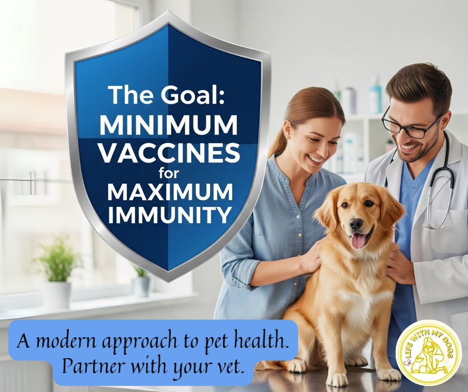 LifeWithMyDogs9's tweet image. Let's be clear: This isn't anti-vax. It's pro-health.

The goal is to provide a lifetime of immunity with the minimum number of vaccines needed. ✅ It's about smart, safe, and effective protection.

#ProHealth #DogWellness #ModernVetMed #InformedDecision #PetAdvocate