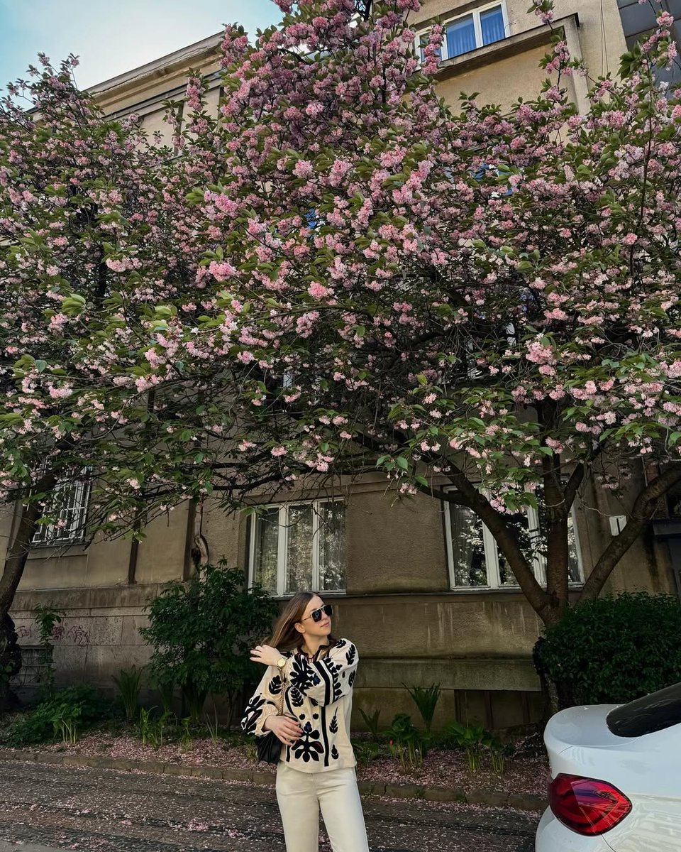 kathy_602sl's tweet image. A photo with flowers #fallenflowers #Randomshot