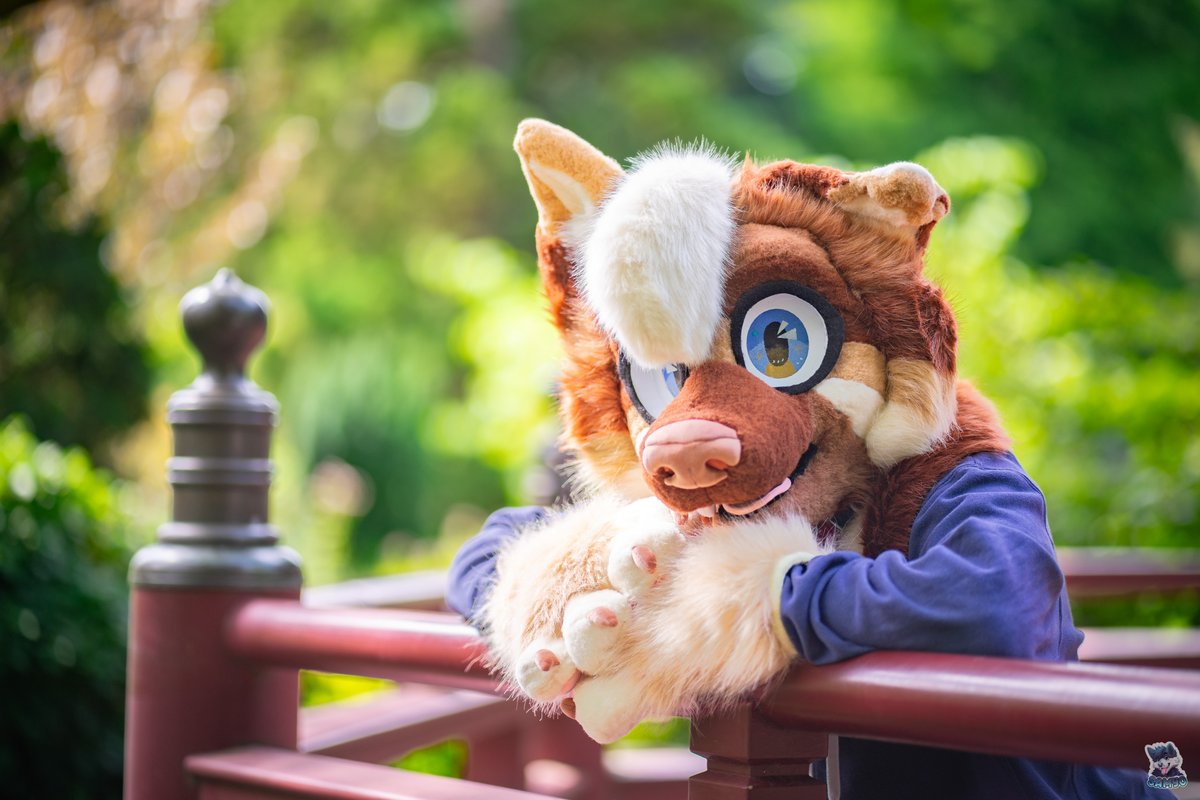 Enjoy the great summer weather at #fursuitfriday 🏖️😎🌡️🫠

It's time to go outside and enjoy the summer while it lasts, like taking photos by @samyofox_ at the beautiful Japanese Garden in Leverkusen.

#furry #furryfandom #fursona #furries #fursuit #furrycommunity #oc #cute