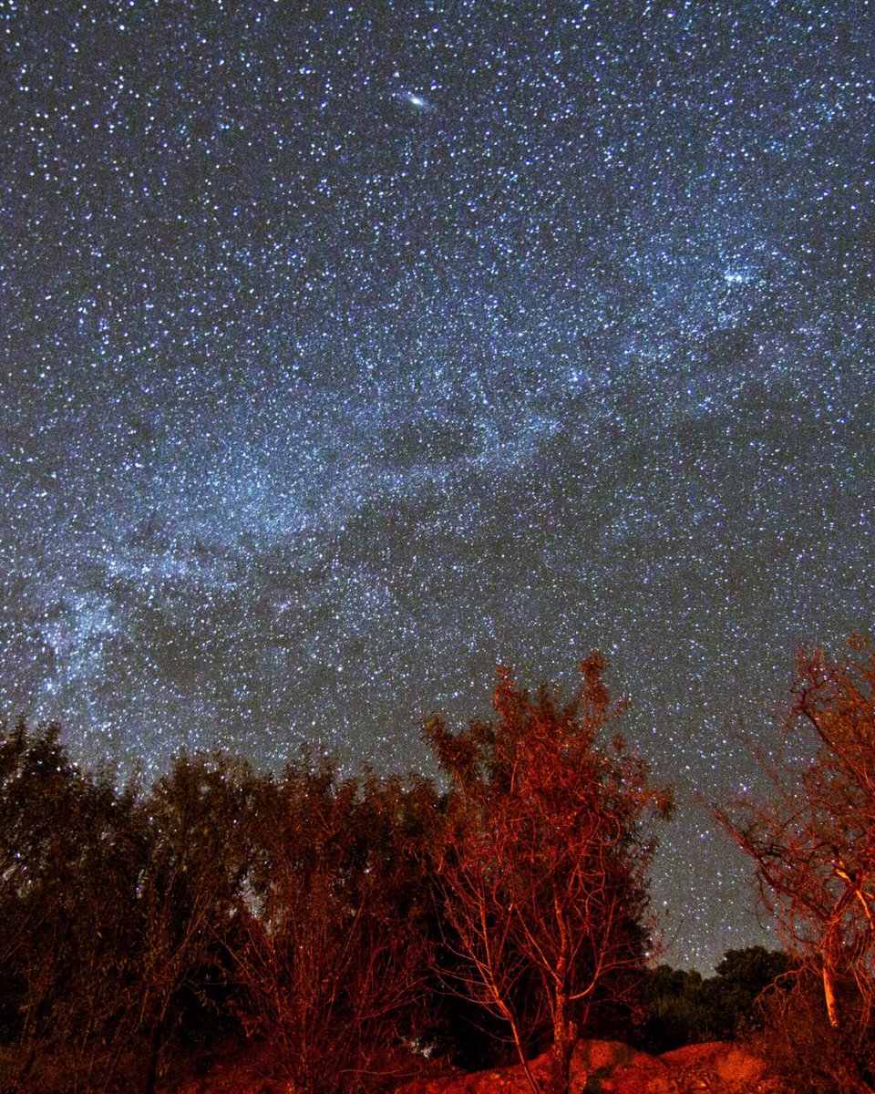 La provincia de Jaén es un gran destino para observar las estrellas.✨

🔭 Las sierras de la provincia distinguidas como Reservas y Destinos Starlight forman un Corredor Astronómico y consolidan a Jaén como un referente internacional del astroturismo.🔗jaenparaisointerior.es/es/astroturismo