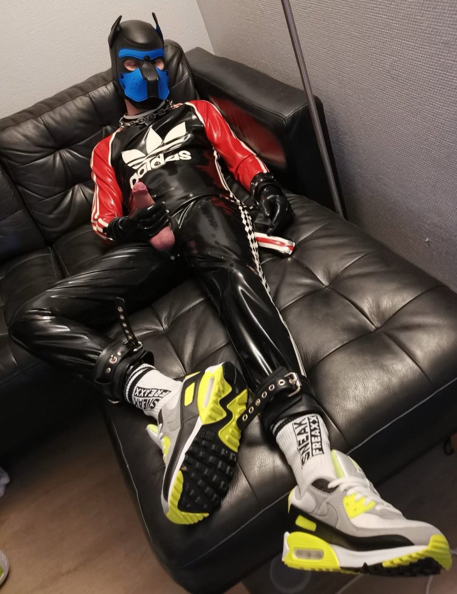 My happy place 💙⛓️😈
Can use some helping paws or more, volunteers?🐾
Who wants a Danzel 🦴?