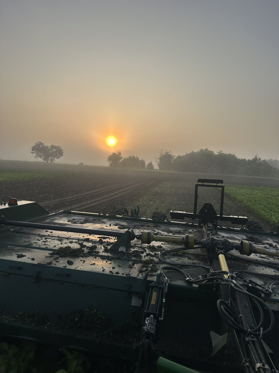 It starts in the field and ends in your pantry. Pre-pile season is here, and that means our growers are beginning to get beets out of their fields and to the piling sites.

📸 Lauri Berkowitz-Swain, Gregoire Steve, Lucas Smith, Travis Uggerud