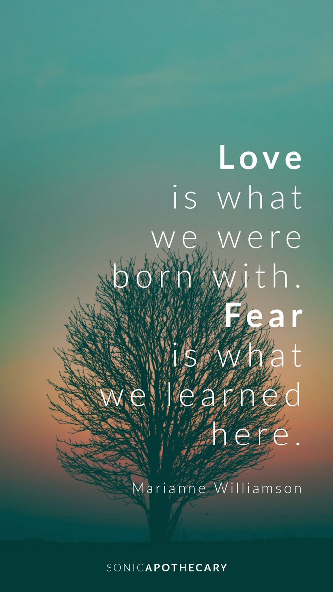 Toon Muylaert tweet media