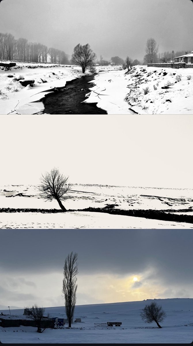 “Ama elbette ki yalnız bir ağaç, 

birkaç tane ağaçtan daha ağaçtır.”

Fotoğraf: <a href="/ormnmustafa/">Mustafa Orman</a>