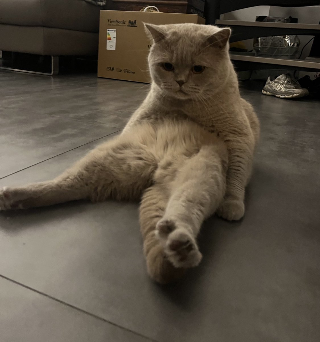 Est ce que quelqu’un peut me dire c’est quoi son problème ptn 
c’est sa position préférée