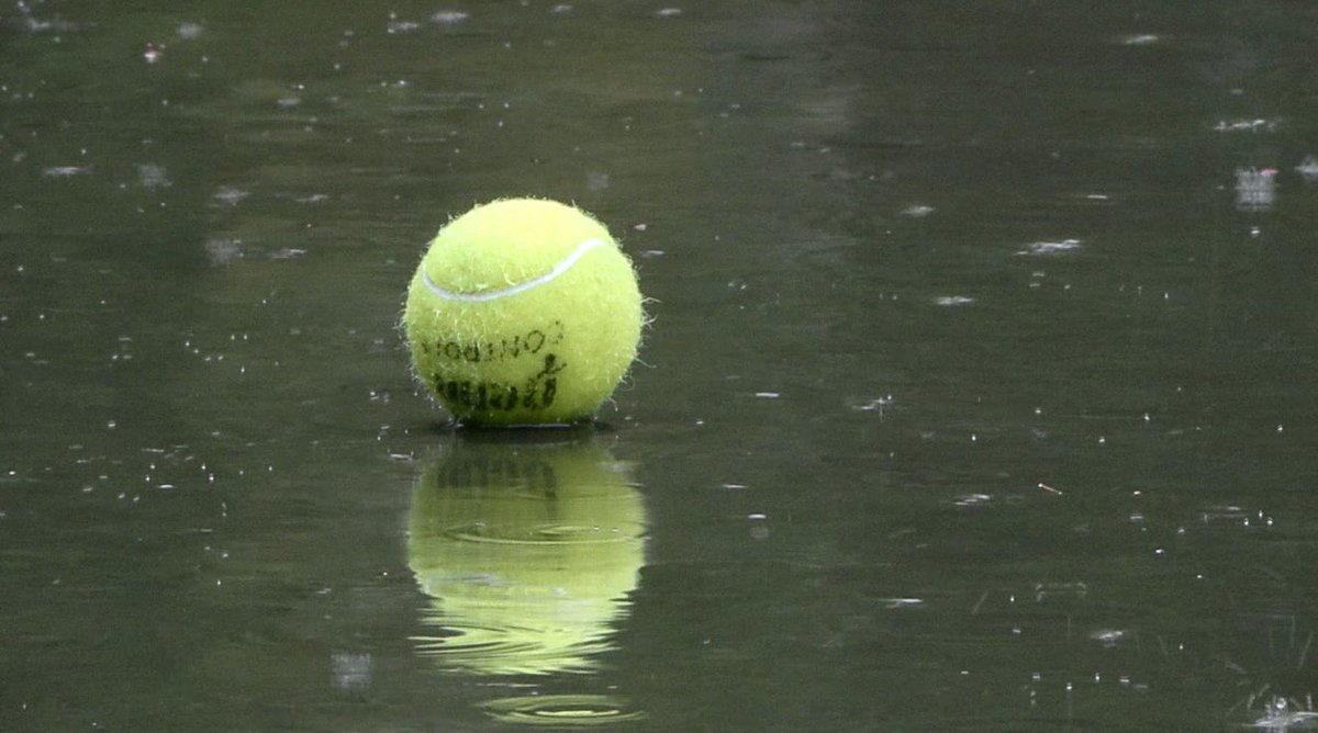 St John Alexander tweet media