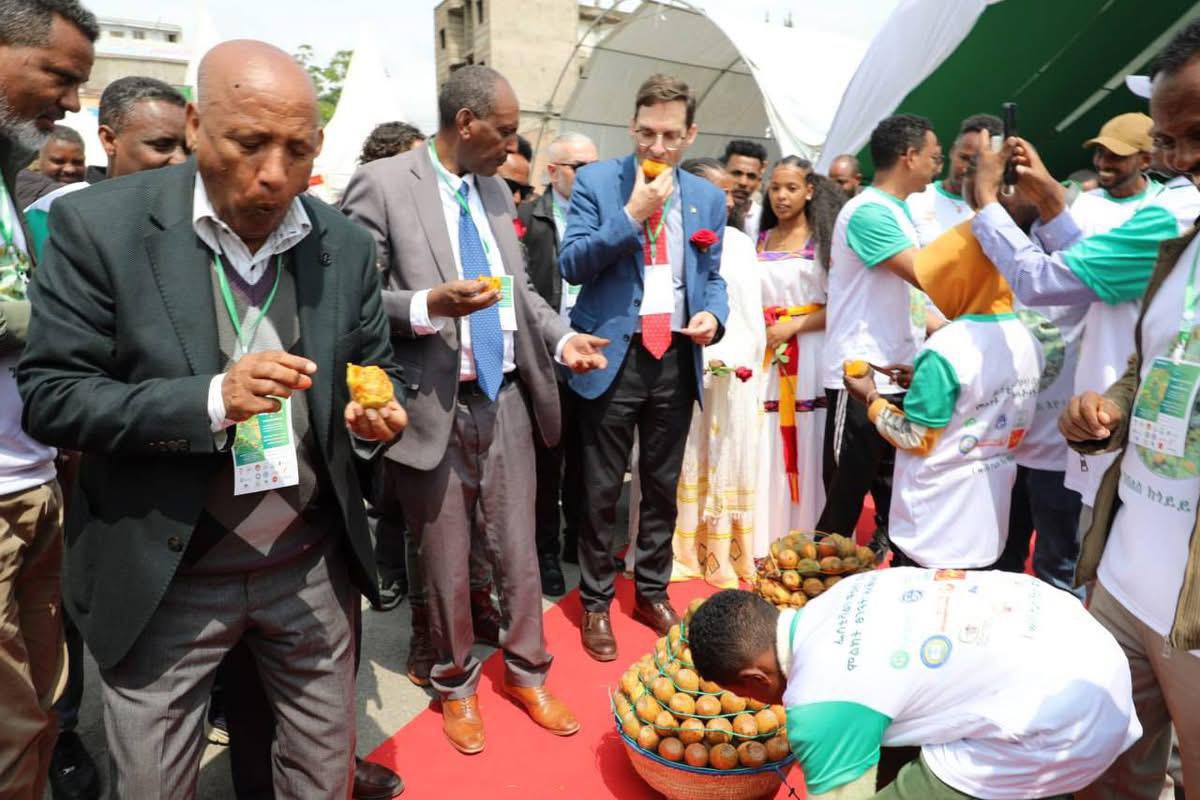 EmbaMexEti's tweet photo. #Mexico invitado de honor al Primer Festival y Conferencia sobre Nopal y Tuna en #Adigrat #Tigray 🇪🇹
El embajador @aestivill pudo exponer la larga tradición e importancia de esta cactácea Opuntia en nuestro país y oportunidades de cooperación. https://t.co/D9oyPLJBSm