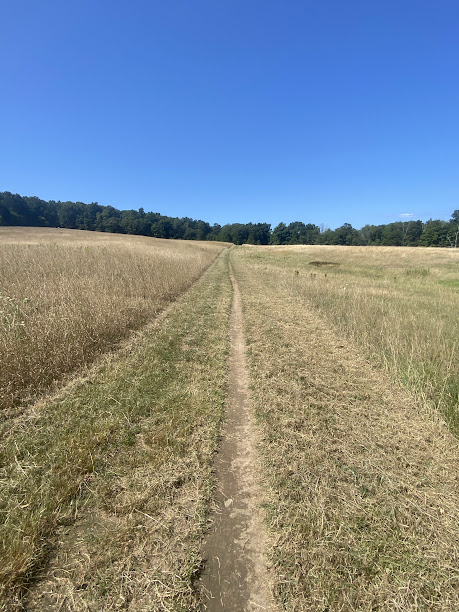 North Andover XC (@northandoverxc) on Twitter photo 