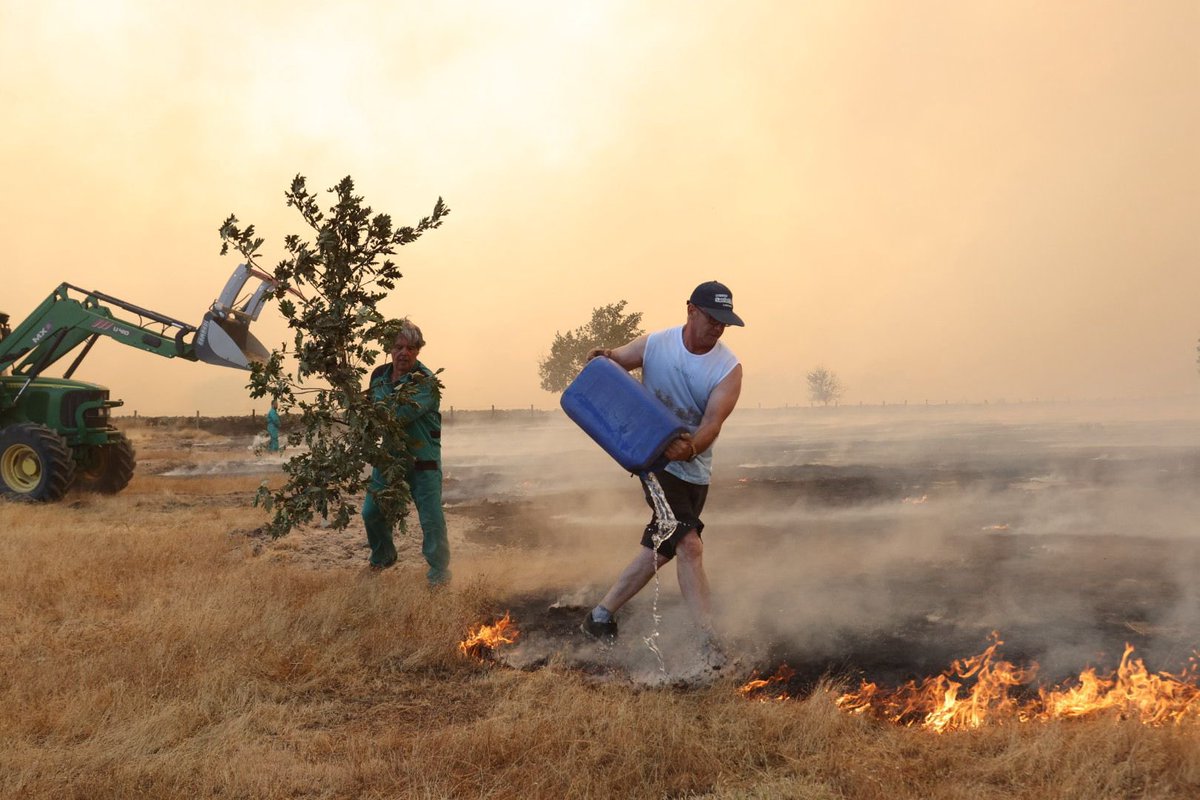 MariaPedrosa10's tweet photo. Las imágenes hablan por sí solas

El mundo rural no se muere, lo matan 

¡Qué vergüenza! 

📸 @Salamanca__hoy https://t.co/8NTIkDPk5K
