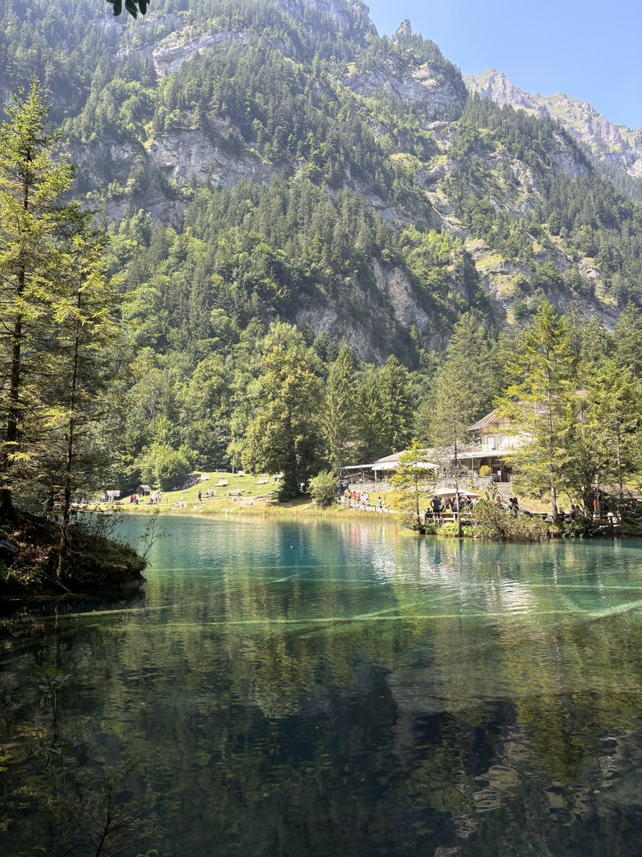 ‎ ياسمين tweet media