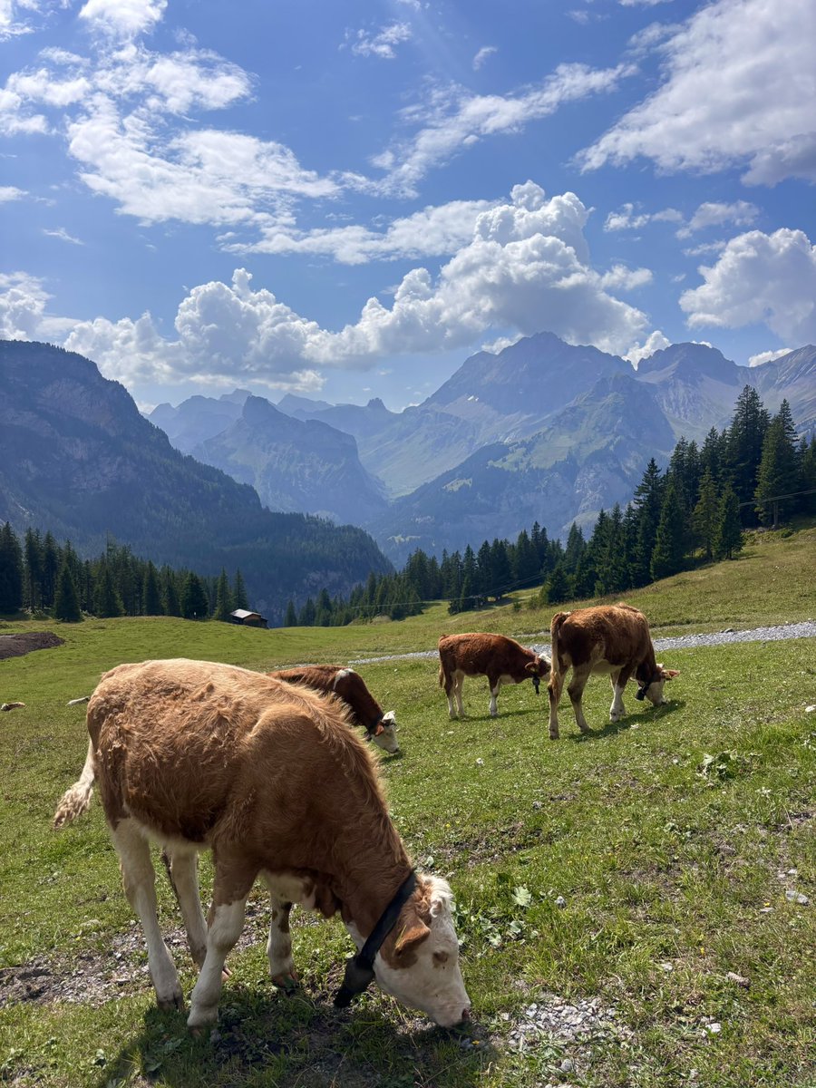 ‎ ياسمين tweet media