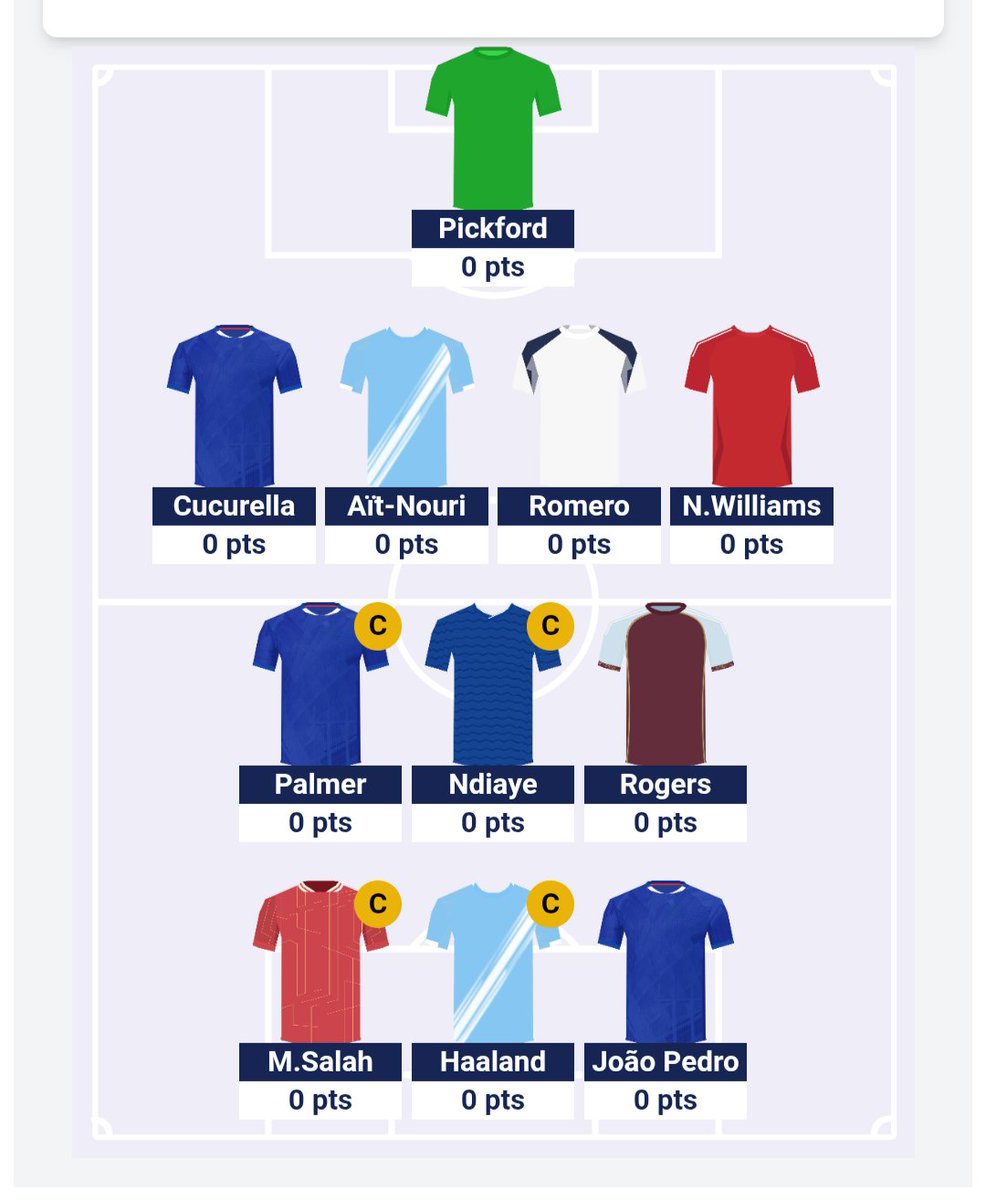 FPLnibbles's tweet image. #CloudFF team reveal! 💥