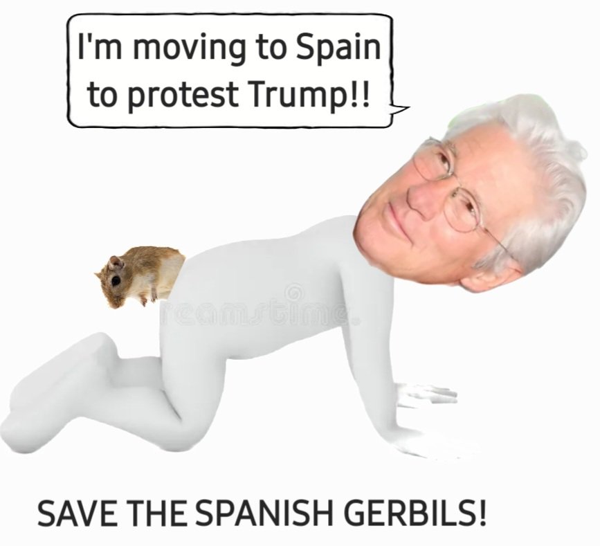 Let's Get Right (@johnnyb671188) on Twitter photo Richard Geer is leaving for Spain.  He wants nothing to do with Trumps America. Richard Geer is leaving for Spain.  He wants nothing to do with Trumps America.