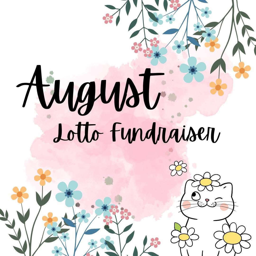 New Start Cat Rescue🐾💜🐾 tweet media