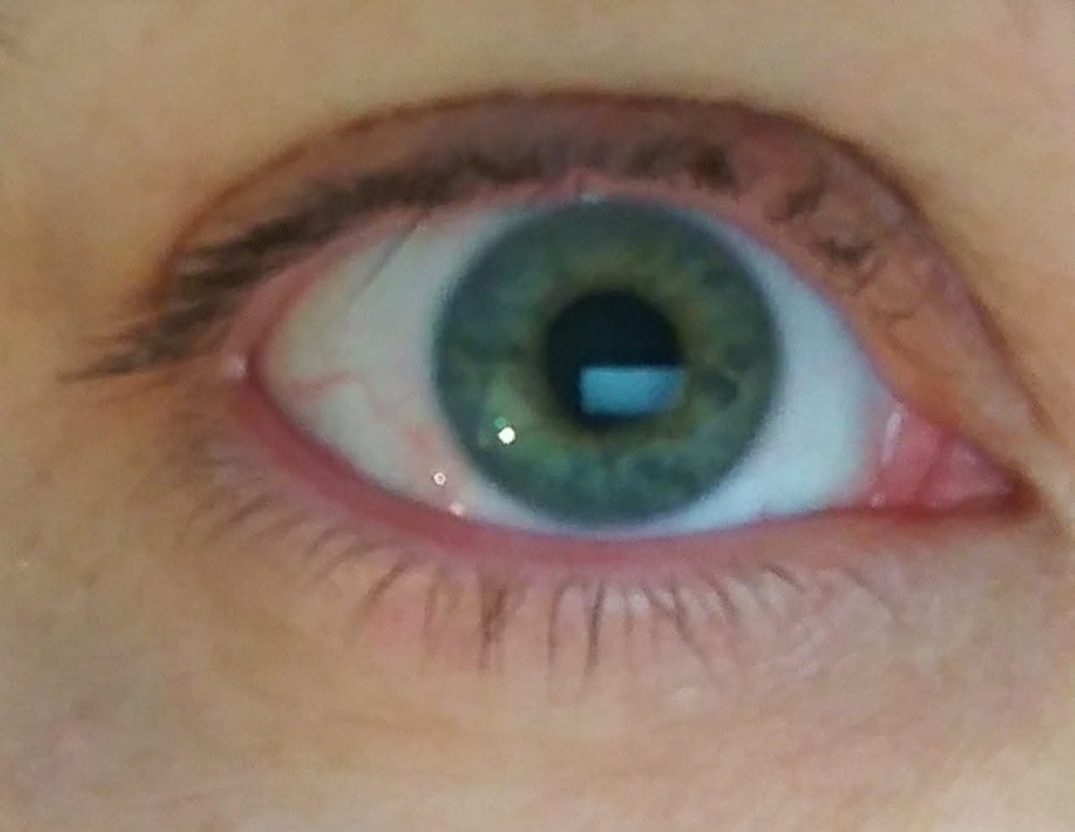 Happy 8/15 to all who celebrate! Love you all madly, Tweetles.