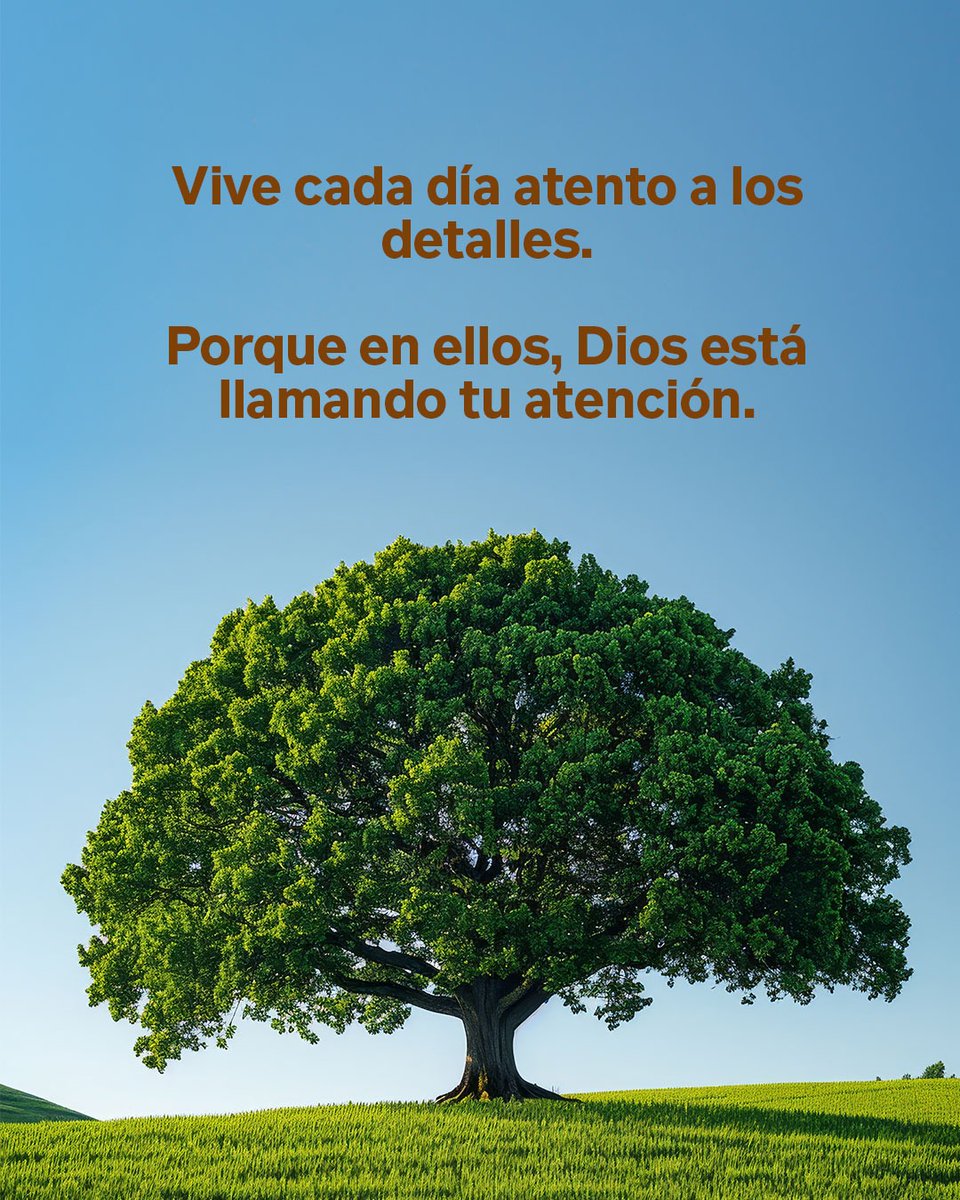 uclogos's tweet image. La vida cristiana se vive en lo cotidiano. En lo pequeño, Dios obra en grande.
Jesús enseñó que la fidelidad en lo poco revela el corazón del Reino.
 “El que es fiel en lo muy poco, también en lo más es fiel” (Lc. 16:10).
#ReinoDeDios #Fidelidad #LlamadoDeDios #uclogos