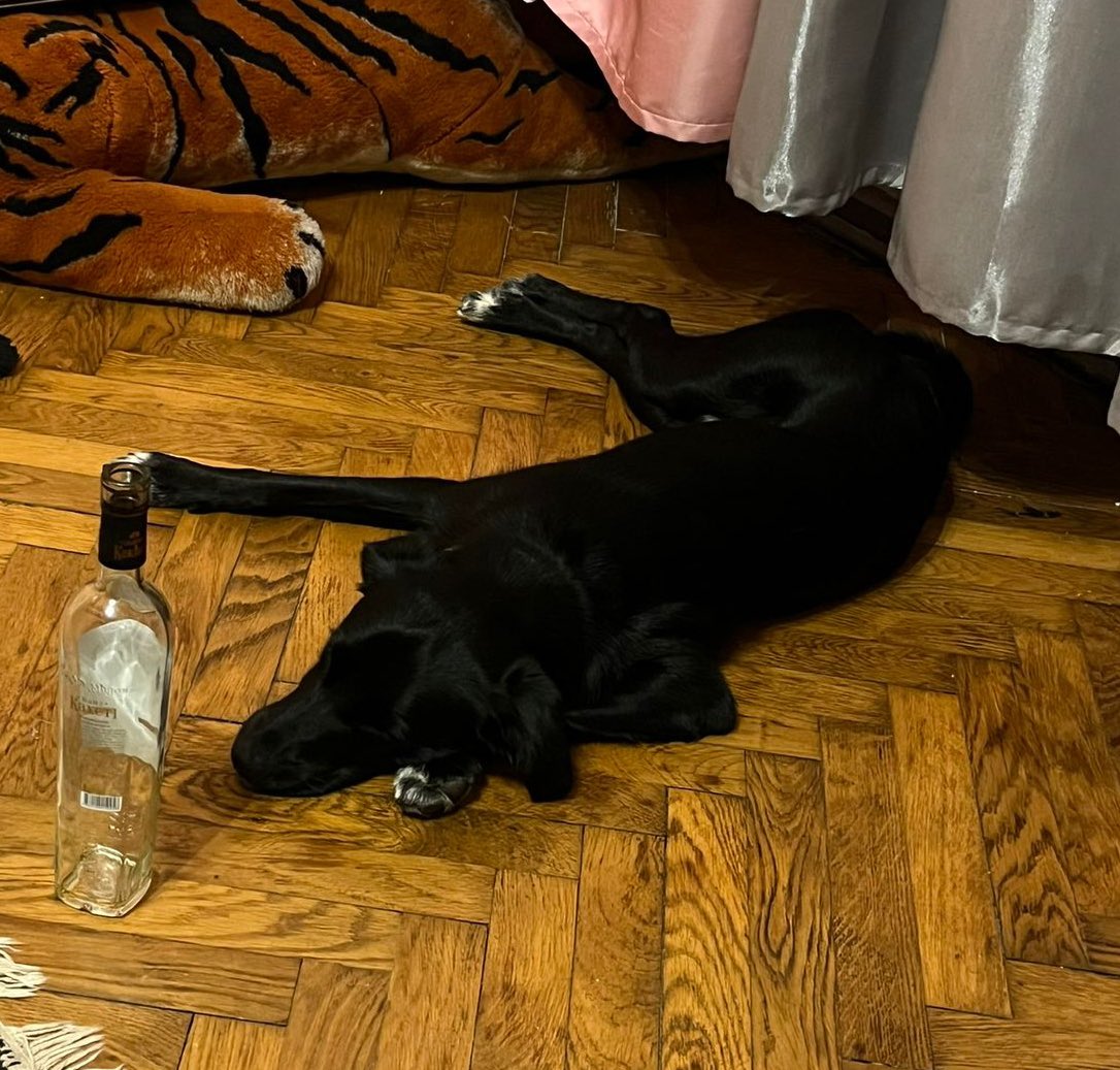 було/стало