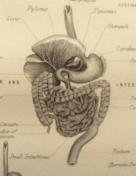 Greatiist0ffice's tweet image. غسل القولون بالماء المالح هو أقوى تقنية لتنظيف القولون على وجة الأرض.

معظم الناس يحملون من 5 إلى 15 رطلاً من الفضلات المتعفنة العالقة في القولون، بسبب سوء التغذية، التوتر، والأطعمة المصنعة.

سوف يعمل ذلك على إعادة ضبط حالتك العقلية والجسدية ..

إليك كيفية القيام بذلك بشكل صحيح: