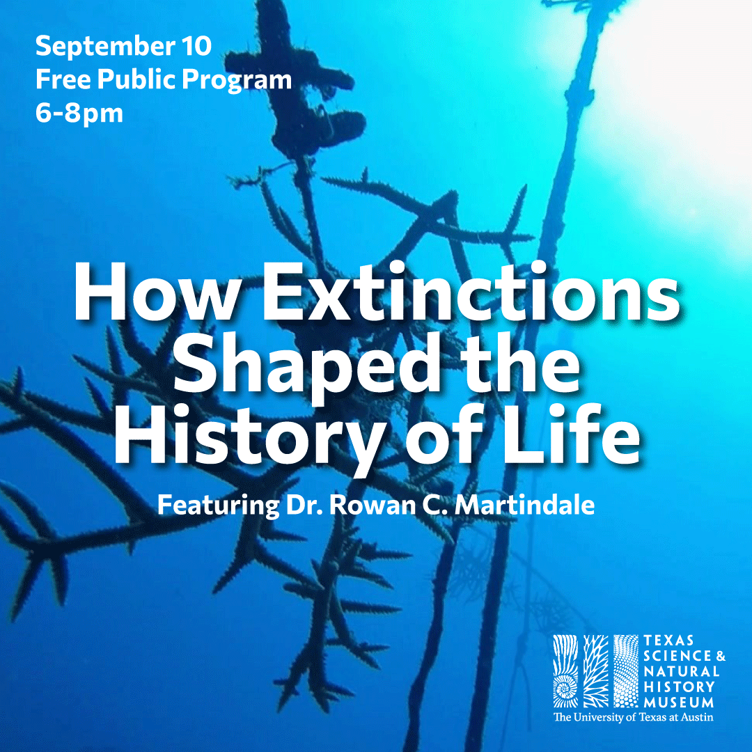 Texas Science & Natural History Museum (@txscinathismus) on Twitter photo Sept. 10: free public program at Texas Science & Natural History Museum! 🌊🌎 Join Dr. Rowan Martindale from <a href="/txgeosciences/">UT Jackson School of Geosciences</a> for a fascinating look at how ancient environmental changes reshaped life below the waves.
sciencemuseum.utexas.edu/events/how-ext… Sept. 10: free public program at Texas Science & Natural History Museum! 🌊🌎 Join Dr. Rowan Martindale from <a href="/txgeosciences/">UT Jackson School of Geosciences</a> for a fascinating look at how ancient environmental changes reshaped life below the waves.
sciencemuseum.utexas.edu/events/how-ext…