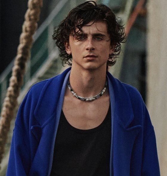 Spike Lee and Timothée Chalamet are in talks to make a film together once Chalamet’s schedule clears up.

“In the next 4 or 5 years.”