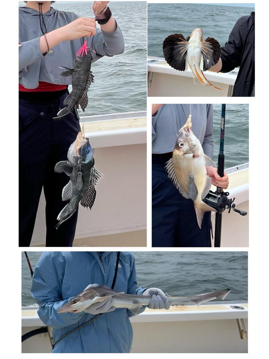 kiss_bernard_'s tweet image. I have to say, the fish I caught was delicious! 😋
#seafishing #outtosea