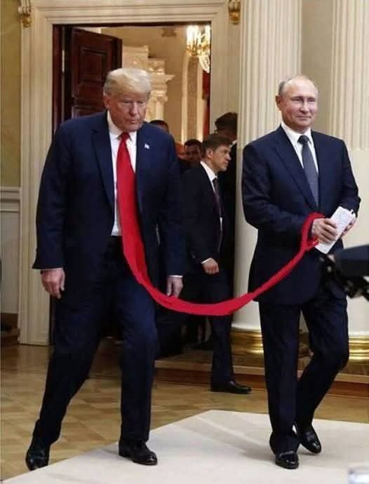 LiddleSavages's tweet image. Putin’s bitch #AlaskaSummit #AlaskaMeeting 

#PutinsBitch 
#TraitorTrump 
#PutinsPuppet
#PutinIsaWarCriminal 
#TrumpIsARussianAsset
