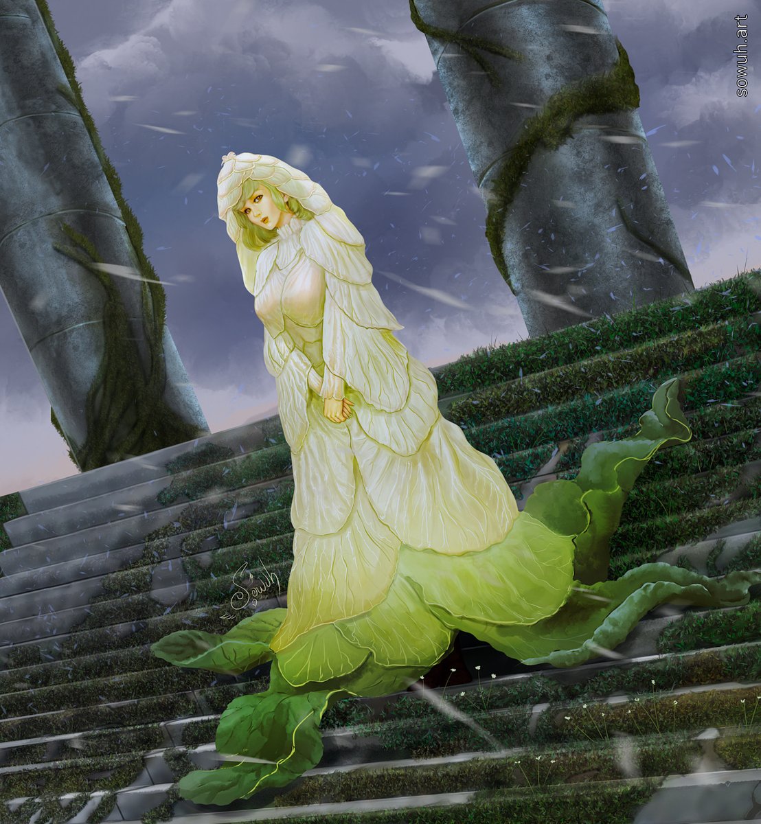 x.com/karapaia/statu…
Rheum nobile