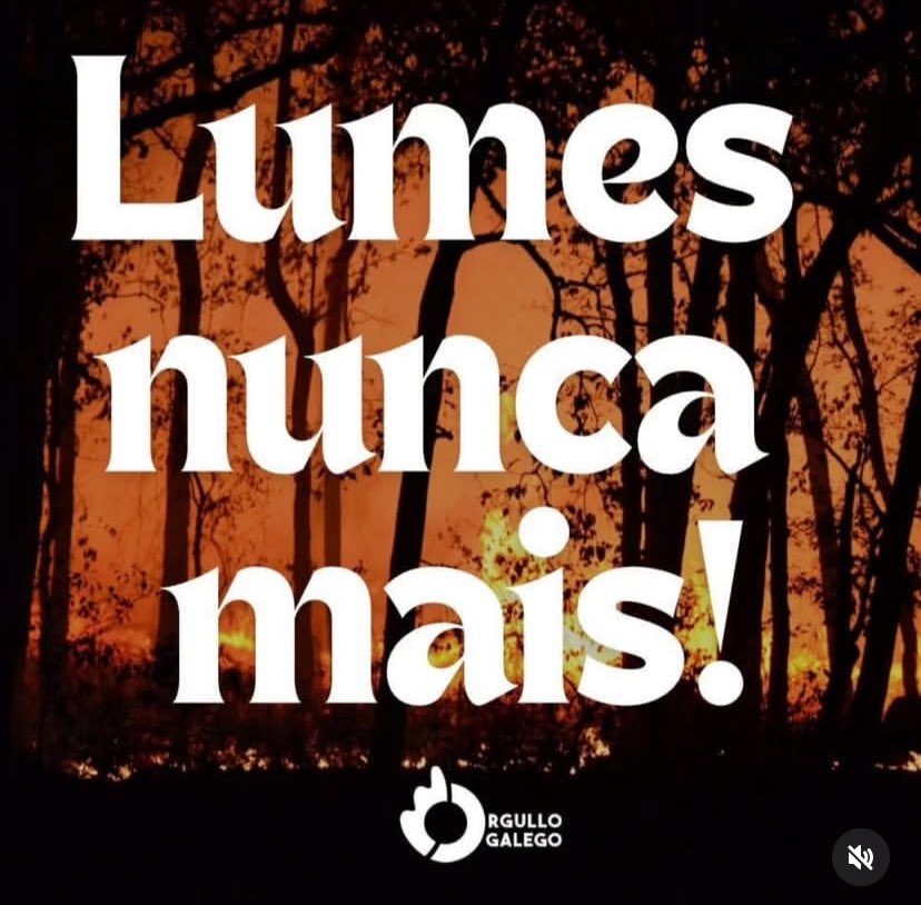 alvaaro_il's tweet photo. Ata a punta da polla. Canto máis ten que arder para que estado e Xunta tomen cartas no asunto e poñan as medidas preventivas para evitar que isto pase? Vergoña e rabia. https://t.co/Do5U3BQfCi