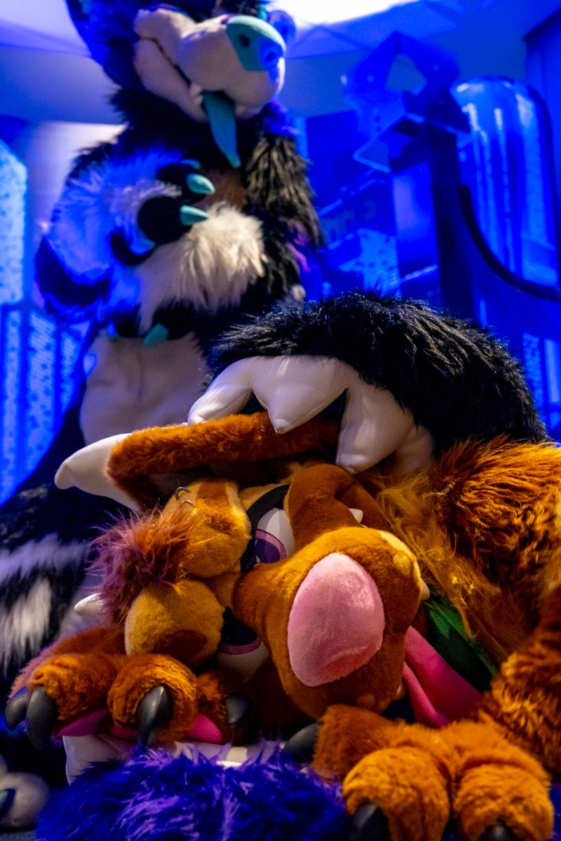 Stinky critter π FWA (@lycan_maw) on Twitter photo <a href="/Guard_Mutt/">π€Muttπ€πMCM Birmingham</a> YEEM PIC SPAM! (And one wolf)
Photos by the lovely <a href="/KooperShiba/">ππππππ π</a>
All suits pictured here are by <a href="/MoreFurLess/">More Fur Less</a> <a href="/Guard_Mutt/">π€Muttπ€πMCM Birmingham</a> YEEM PIC SPAM! (And one wolf)
Photos by the lovely <a href="/KooperShiba/">ππππππ π</a>
All suits pictured here are by <a href="/MoreFurLess/">More Fur Less</a>