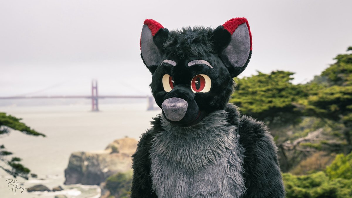 Missing the bay on this #FursuitFriday 
📸:<a href="/RixHusky/">Rix</a>